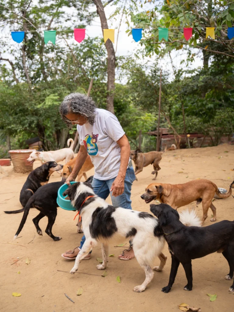ivone gonçalves mundo do marley cuidando cachorros