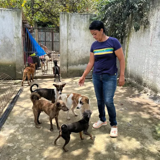 mundo do marley rosa cachorros