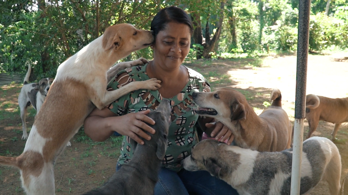 mundo-do-marley-rosa